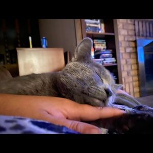 Meet your Posher, Victoria